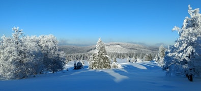 Winter / Ferienwelt Winterberg